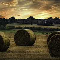 Buy canvas prints of Bringing in the Harvest  by K7 Photography