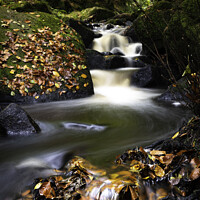 Buy canvas prints of The Enchanting Wyming Brook by K7 Photography