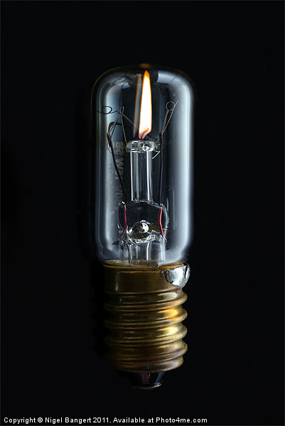 Bulb Picture Board by Nigel Bangert