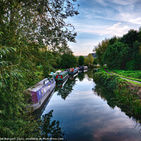 Buy canvas prints of The River Stort by Nigel Bangert