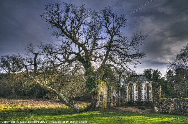 Waverley Abbey Picture Board by Nigel Bangert