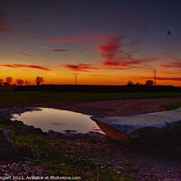 Buy canvas prints of Sunset Puddle by Nigel Bangert