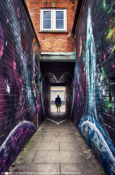 Graffiti Alley Picture Board by Nigel Bangert