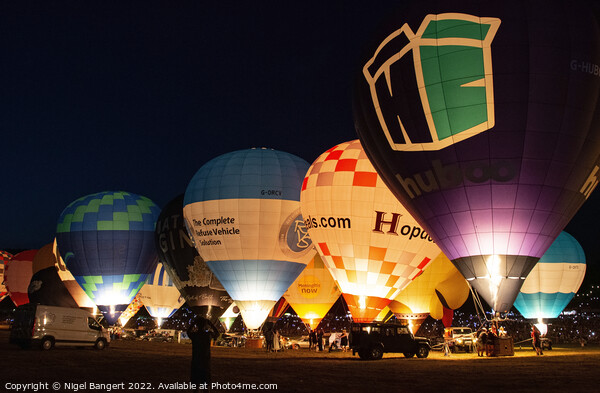 Bristol Balloon Fiesta Picture Board by Nigel Bangert