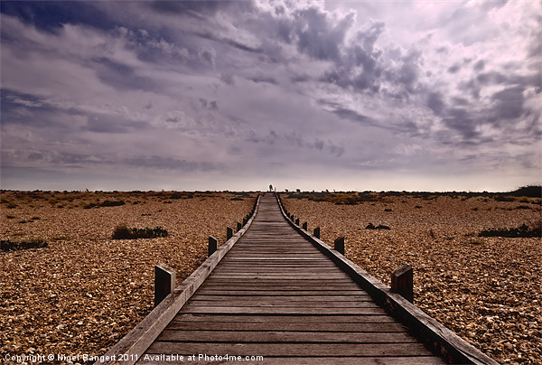 Wooden Walkway at Dungeness Picture Board by Nigel Bangert