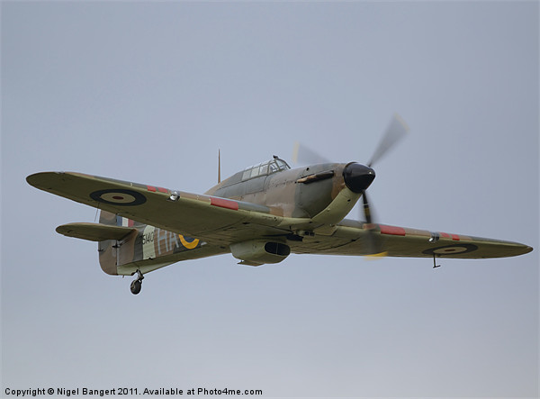 Hawker Hurricane MK12A Picture Board by Nigel Bangert