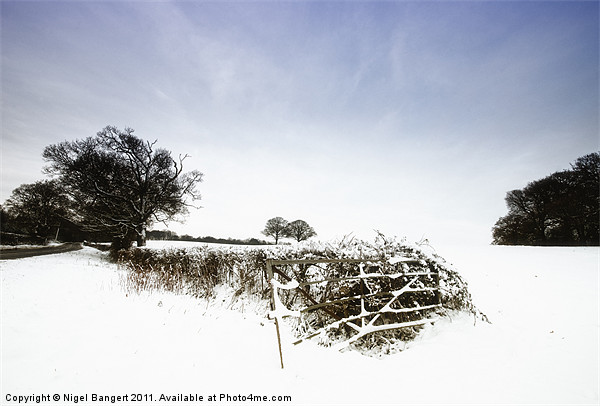 Winter Field Picture Board by Nigel Bangert