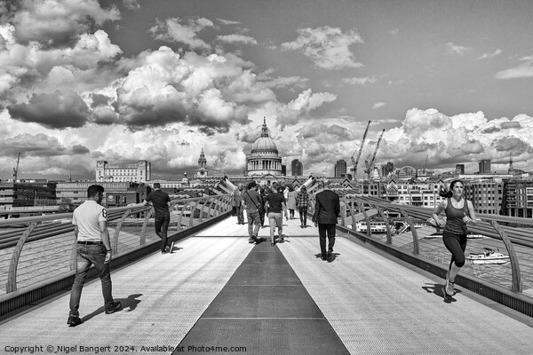 The Millennium Bridge  Picture Board by Nigel Bangert