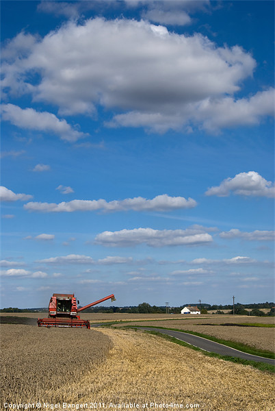 Harvest Time Picture Board by Nigel Bangert