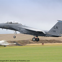 Buy canvas prints of USAF F-15E Strike Eagle by Nigel Bangert