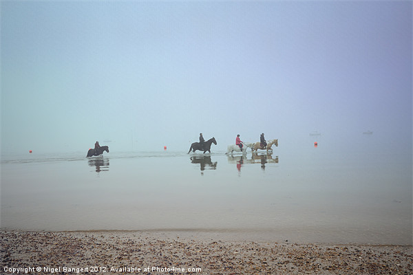 Sea Horses Picture Board by Nigel Bangert