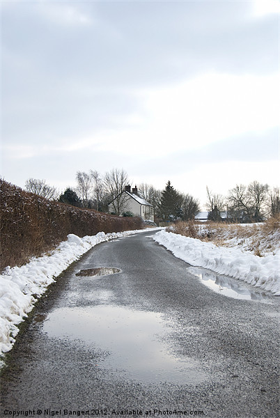 Winter Country Lane Picture Board by Nigel Bangert