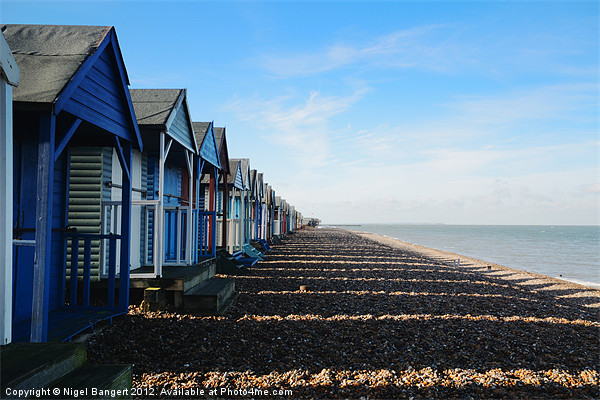 Beach Huts at Herne Bay Picture Board by Nigel Bangert
