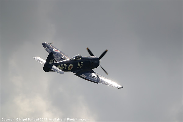 Hawker Sea Fury Picture Board by Nigel Bangert