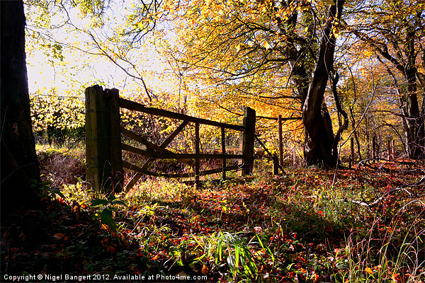 Autumn Gate Picture Board by Nigel Bangert