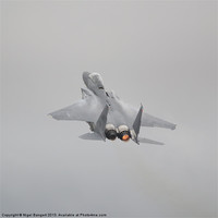 Buy canvas prints of USAF F-15E Strike Eagle by Nigel Bangert