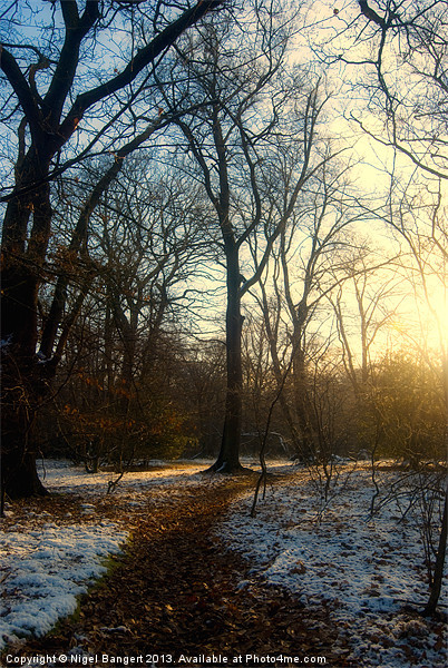 Winter Path Picture Board by Nigel Bangert