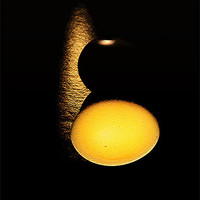 Buy canvas prints of Egg by Nigel Bangert