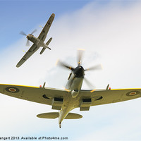 Buy canvas prints of Dogfight by Nigel Bangert