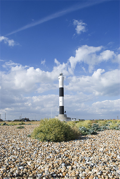 Dungeness Lighthouse Picture Board by Nigel Bangert