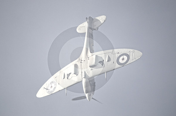 Supermarine Spitfire  Dive Picture Board by Nigel Bangert