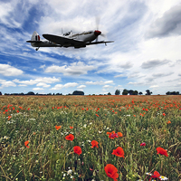 Buy canvas prints of Remembrance by Nigel Bangert