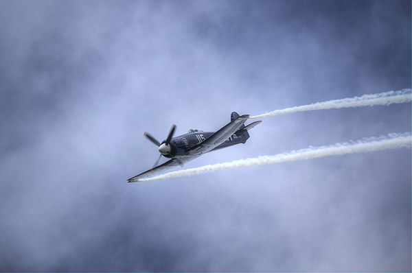 Hawker Sea Fury Picture Board by Nigel Bangert