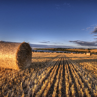 Buy canvas prints of After the Harvest by Nigel Bangert