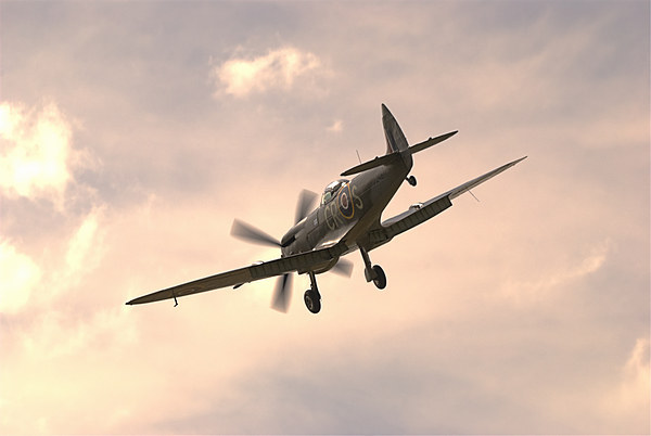 Spitfire LF Mk.XVIe Picture Board by Nigel Bangert