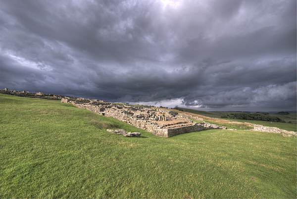 Hadrians Wall at Housesteads Picture Board by Nigel Bangert