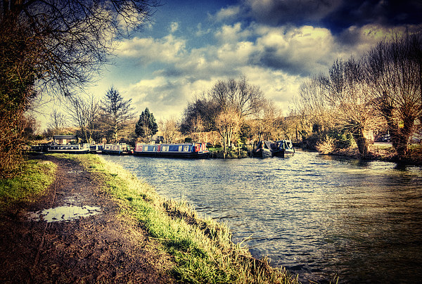River Stort Boats Picture Board by Nigel Bangert