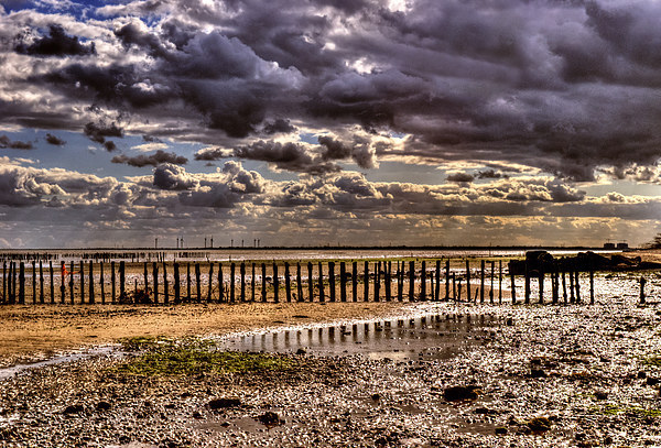 East Mersea Beach Picture Board by Nigel Bangert