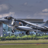 Buy canvas prints of  AV-8B Harrier ll by Nigel Bangert