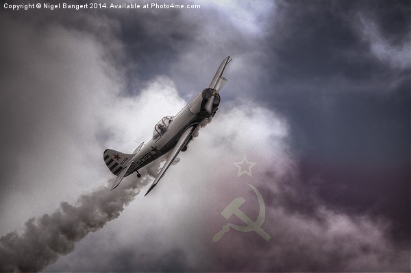  Russian Yak 50 Picture Board by Nigel Bangert