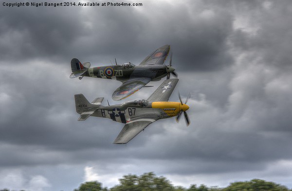  Frankie and Spitfire Picture Board by Nigel Bangert