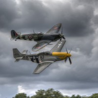 Buy canvas prints of  Frankie and Spitfire by Nigel Bangert