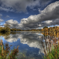 Buy canvas prints of  Autumn Lake by Nigel Bangert