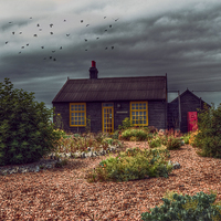 Buy canvas prints of  Prospect Cottage by Nigel Bangert