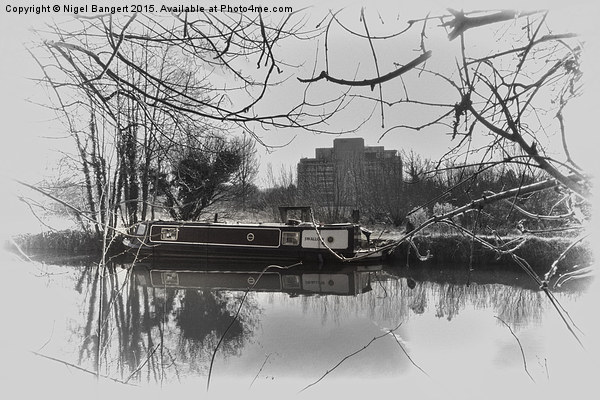 River Stort, Harlow Picture Board by Nigel Bangert