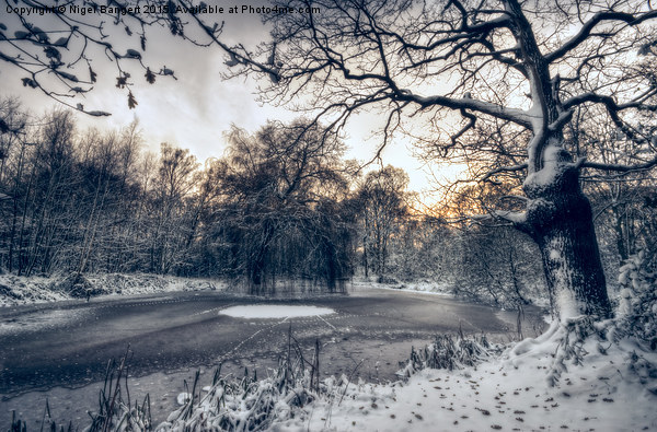  Winter Pond Picture Board by Nigel Bangert