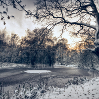 Buy canvas prints of  Winter Pond by Nigel Bangert