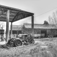 Buy canvas prints of  Essex Farm by Nigel Bangert