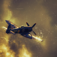 Buy canvas prints of  Hawker Sea Fury by Nigel Bangert