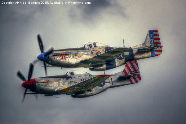  North American P-51 Mustangs Picture Board by Nigel Bangert