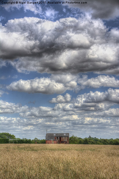  Grain Barn and Barley Field Picture Board by Nigel Bangert