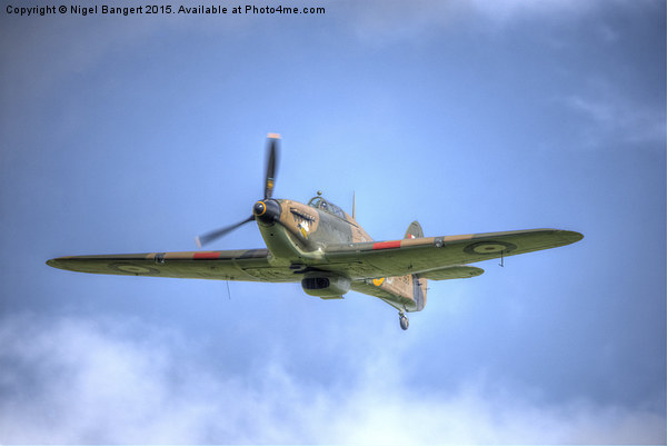  Hawker Hurricane Mk IIc LF363 Picture Board by Nigel Bangert