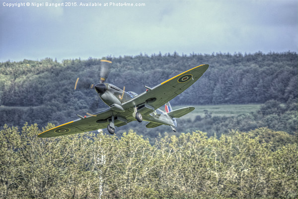  Supermarine Spitfire LF Mk XVIe TD248 Picture Board by Nigel Bangert