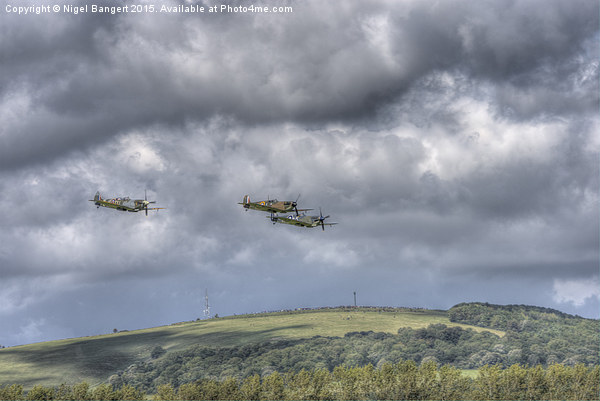  Battle of Britain Flypast  Picture Board by Nigel Bangert