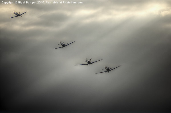  Spitfire Rays Picture Board by Nigel Bangert