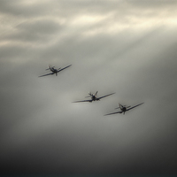 Buy canvas prints of  Spitfire Rays by Nigel Bangert